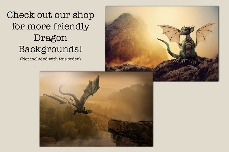 May include: Two digital illustrations of dragons in different poses. The first image shows a green dragon with brown wings sitting on a rock. The second image shows a black dragon with brown wings flying over a forest. The text "Check out our shop for more friendly Dragon Backgrounds! (Not included with this order)" is displayed on the image.