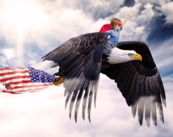 4th of July Background for Photography Composition / Independence Day Backdrop composite / Add Your Own Subject / American / Bald Eagle /