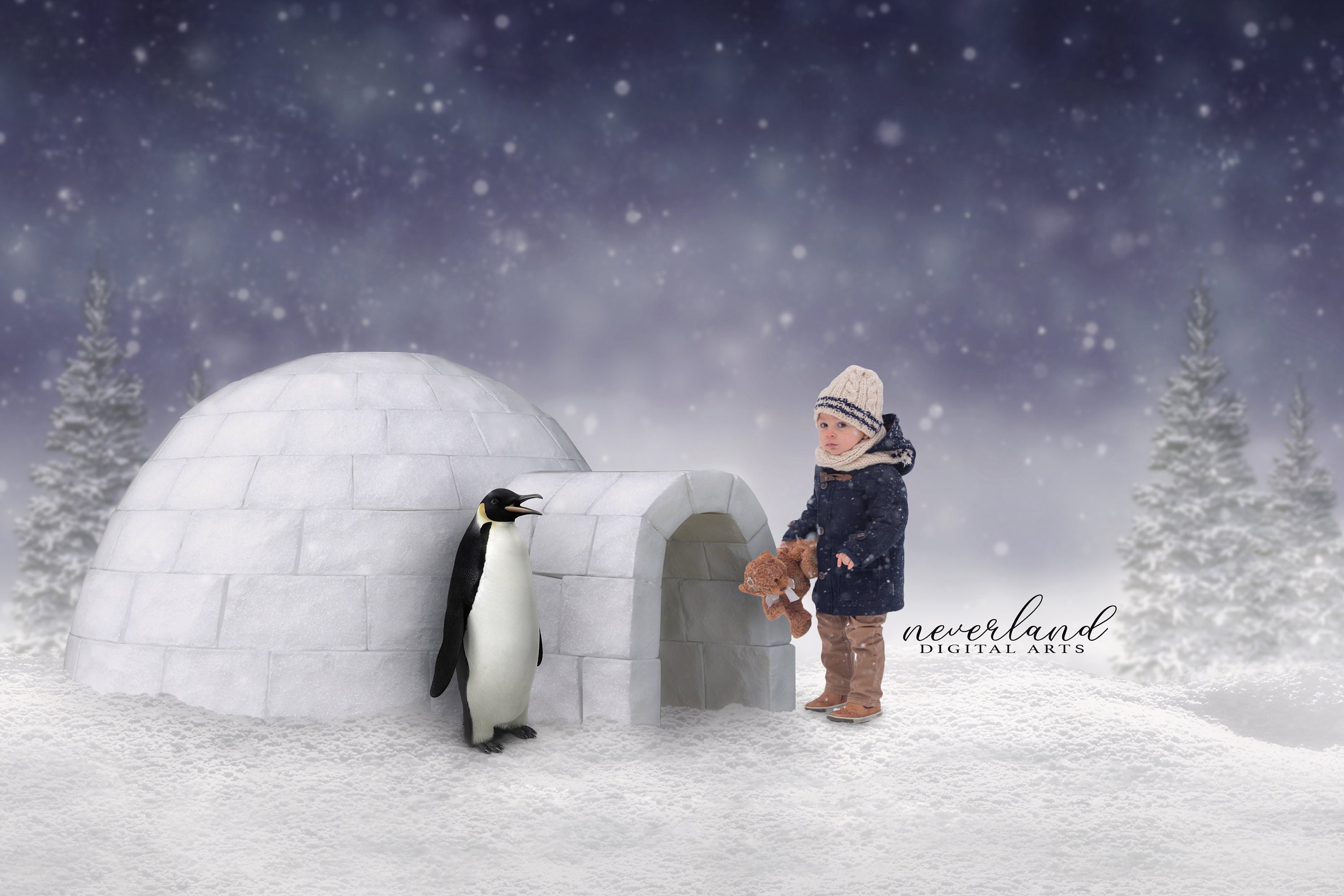 The Igloo and the Penguin / Winter Background for Photography - Etsy The Igloo and the Penguin / Winter Background for Photography - Etsy