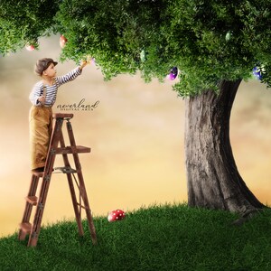 May include: A young boy climbs a wooden ladder to reach colorful Easter eggs hanging from a tree branch. The tree is in a grassy field with a sunset sky in the background.