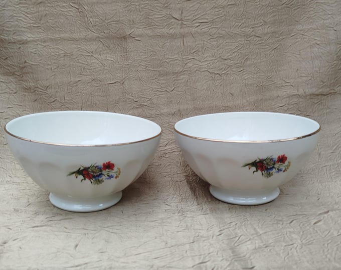 paire de bol ancien en faïence et décors de fleurs