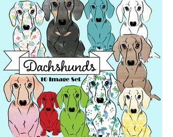 Dachshunds - 10 Image Set - PNG