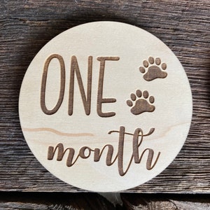 Round monthly milestone, Baby boy milestone, Baby girl milestone, Monthly milestone photo prop, Round wood photo prop