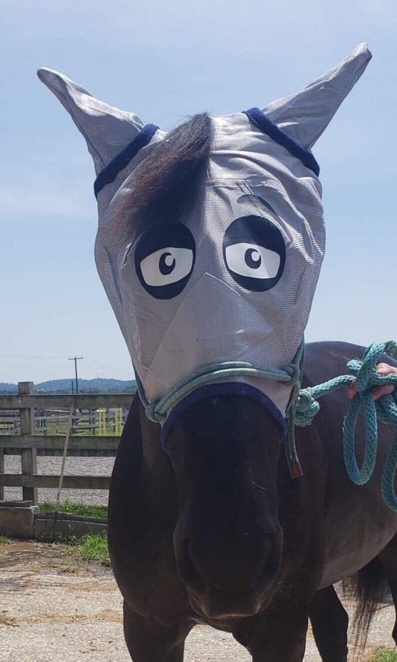 Goofy Silly Custom Eye Horse Fly Mask Horses Equestrian Equine | Etsy