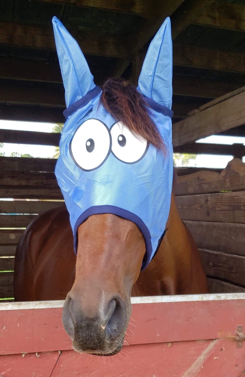 Goofy Silly Custom Eye Horse Fly Mask Horses Equestrian Equine Eyes