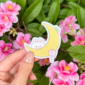 Adesivo in vinile kawaii con cielo notturno ~ Festa della luna con conigli e rane, adesivo impermeabile carino per diari e altro