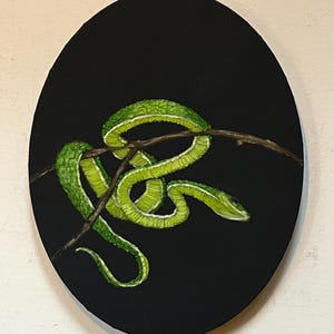 Pintura al óleo de serpiente pitón verde – Lienzo ovalado negro de 11x14 pulgadas