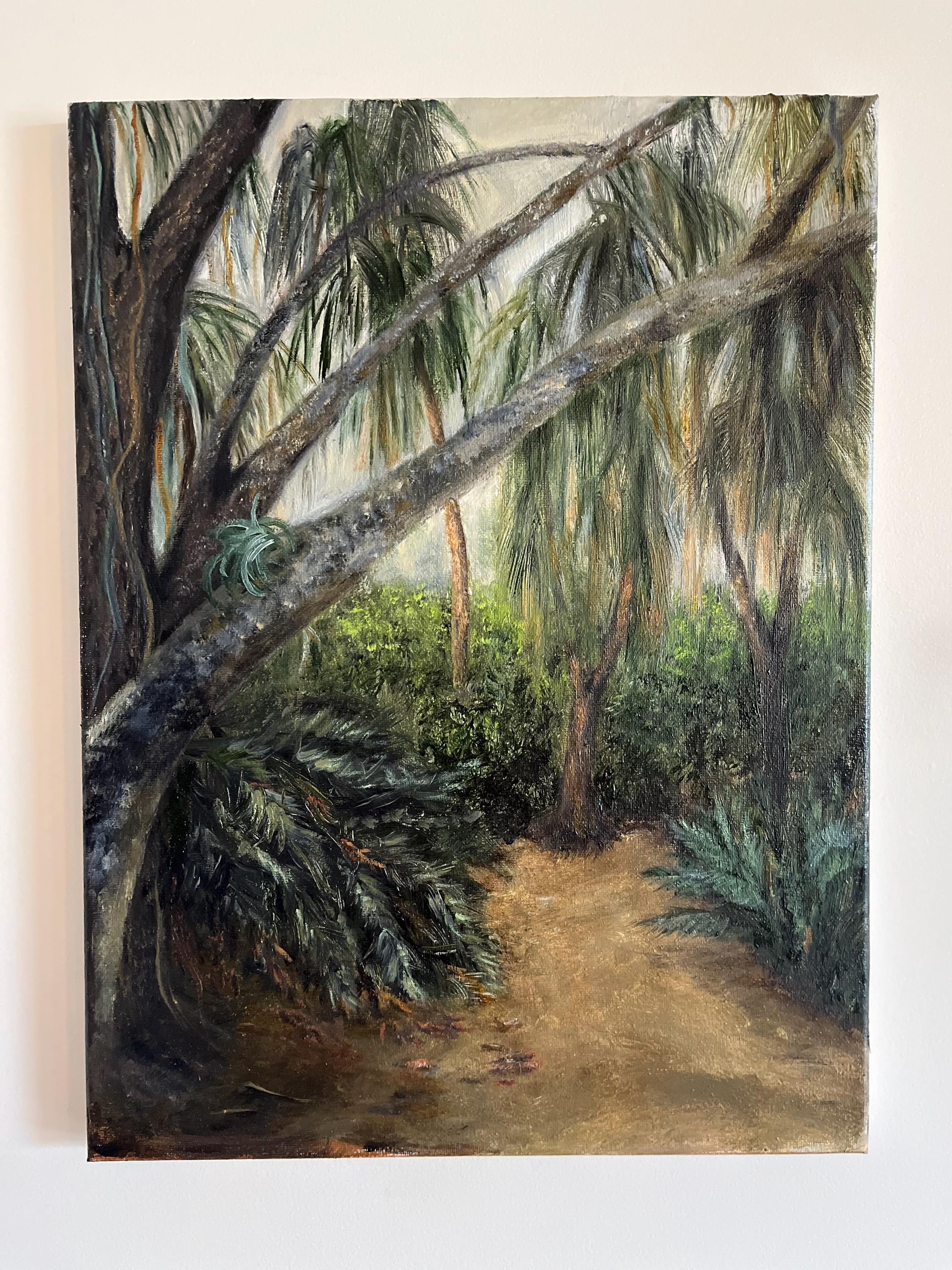 Oil Landscape Painting of South Florida Palms in Botanical Garden on Stretched Canvas 12x16