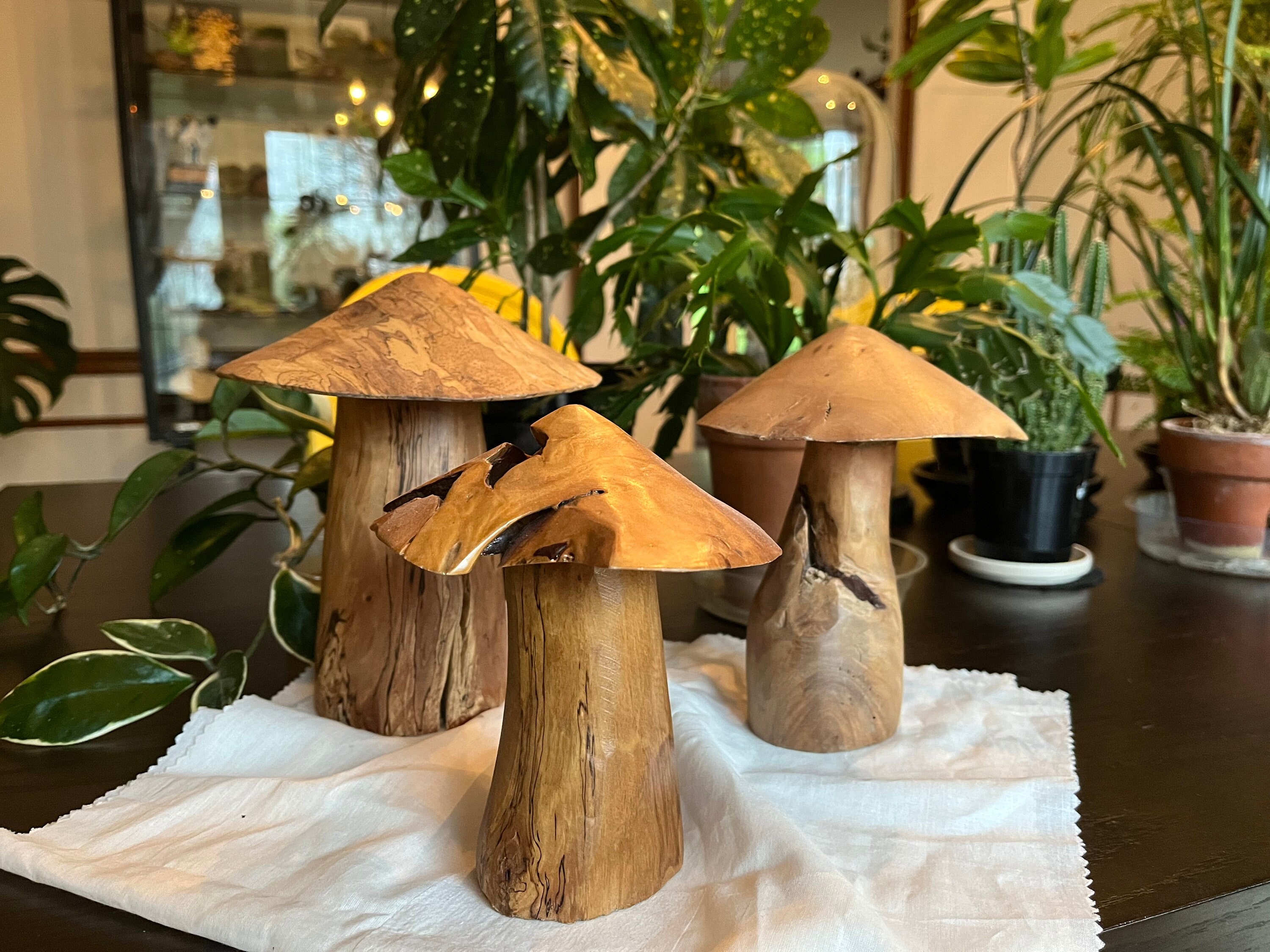 Natural Suar Wood Mushrooms - 3 Sizes – ShopTansy
