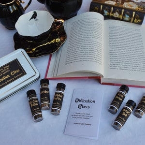 Personalized Harry Potter Gifts. Hogwarts School of Witchcraft Wizardry, Divination Class. Tea Box with six loose teas, Tea Reading Booklet image 6