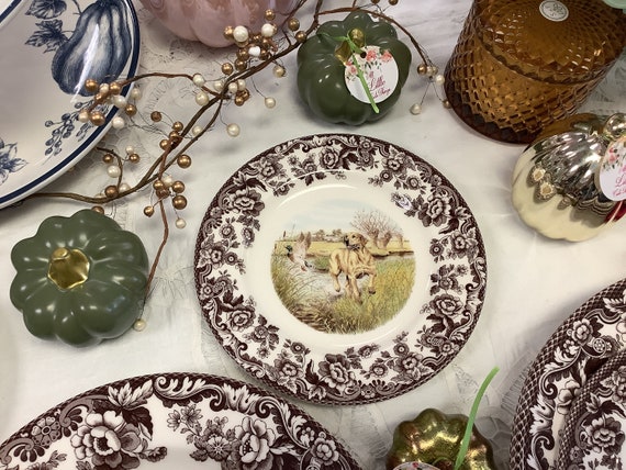 Teller Gelber Labrador Retriever Hund Woodland Spode England