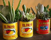 Garden Container. Large El Pato cans for Flower Pots, Herbs, Succulents, Indoor Outdoor Plants. Table Centerpieces, Fiesta Decorations