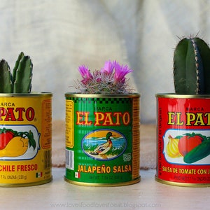Latas mexicanas pequeñas de El Pato para decoración de fiestas. Centros de mesa con arreglos florales. Recuerdos de cumpleaños y regalos para despedidas de soltera.
