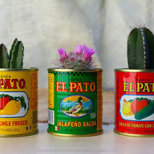 Small El Pato Mexican Cans  Fiesta Mexican Party Decorations. Flower Vase Arrangement Centerpieces. Birthday Favors  Bridal Shower Gifts