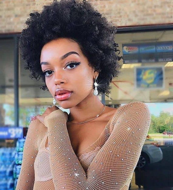 Afro Kinky Curly Short Curly Human Hair Wig Etsy