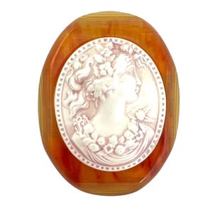 Vintage Apple Juice Bakelite & Celluloid Cameo Brooch Oval Pin Beveled Edges