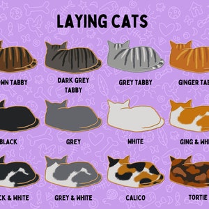 May include: Illustration of 12 different cat breeds laying down. The cat breeds are: Brown Tabby, Dark Grey Tabby, Grey Tabby, Ginger Tabby, Black, Grey, White, Ginger & White, Black & White, Grey & White, Calico, and Tortie.