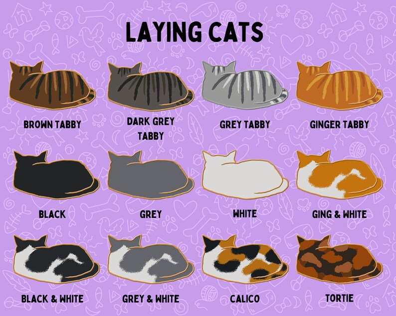 May include: Illustration of 12 different cat breeds laying down. The cat breeds are: Brown Tabby, Dark Grey Tabby, Grey Tabby, Ginger Tabby, Black, Grey, White, Ginger & White, Black & White, Grey & White, Calico, and Tortie.