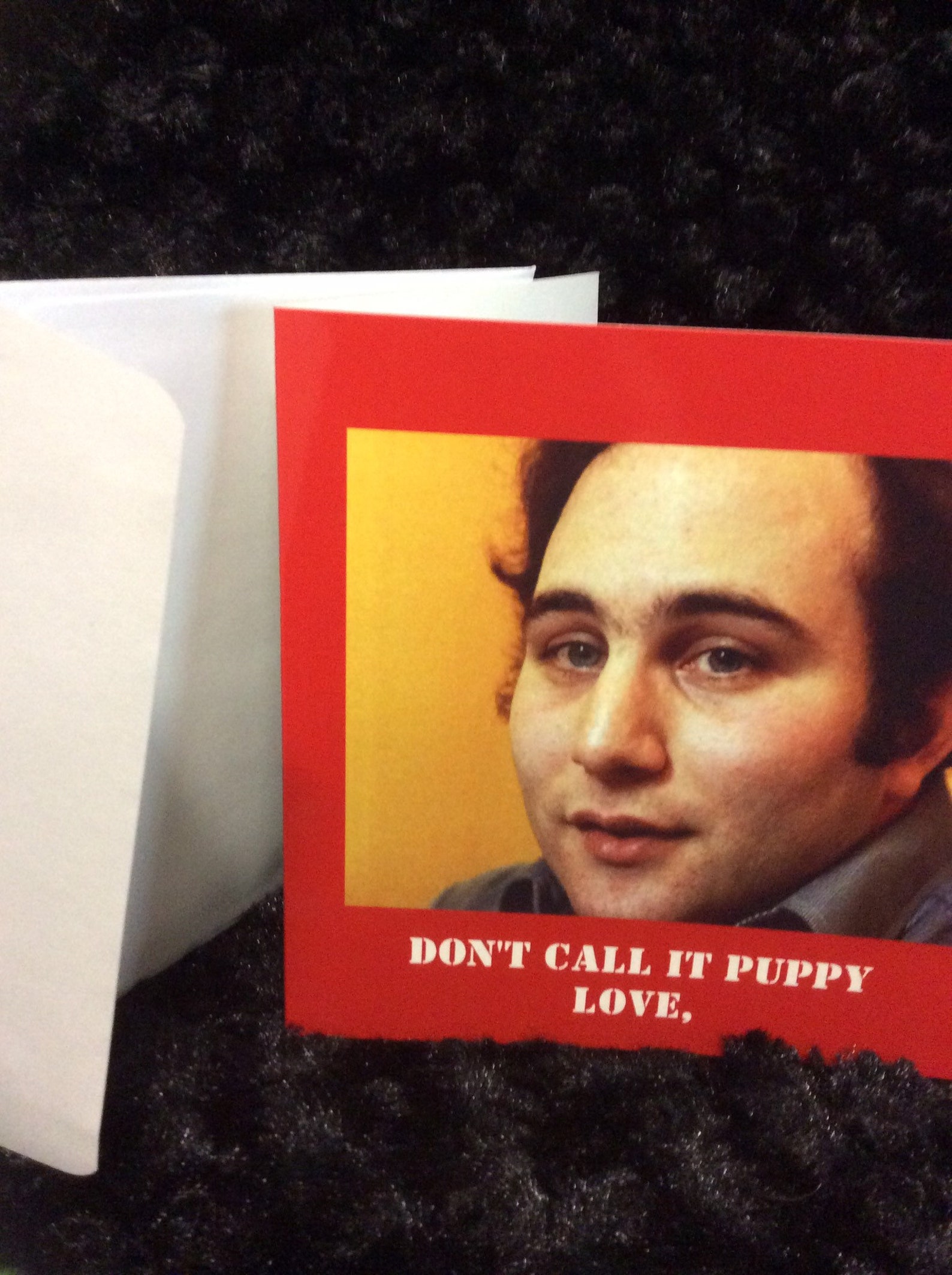 Serial killer Valentine card horror David Berkowitz Son | Etsy