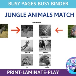 Match the Zoo Animals Worksheet, Animal Matching Game, Educational Printable Activity, Homeschool Game, Tot School, Busy Binder