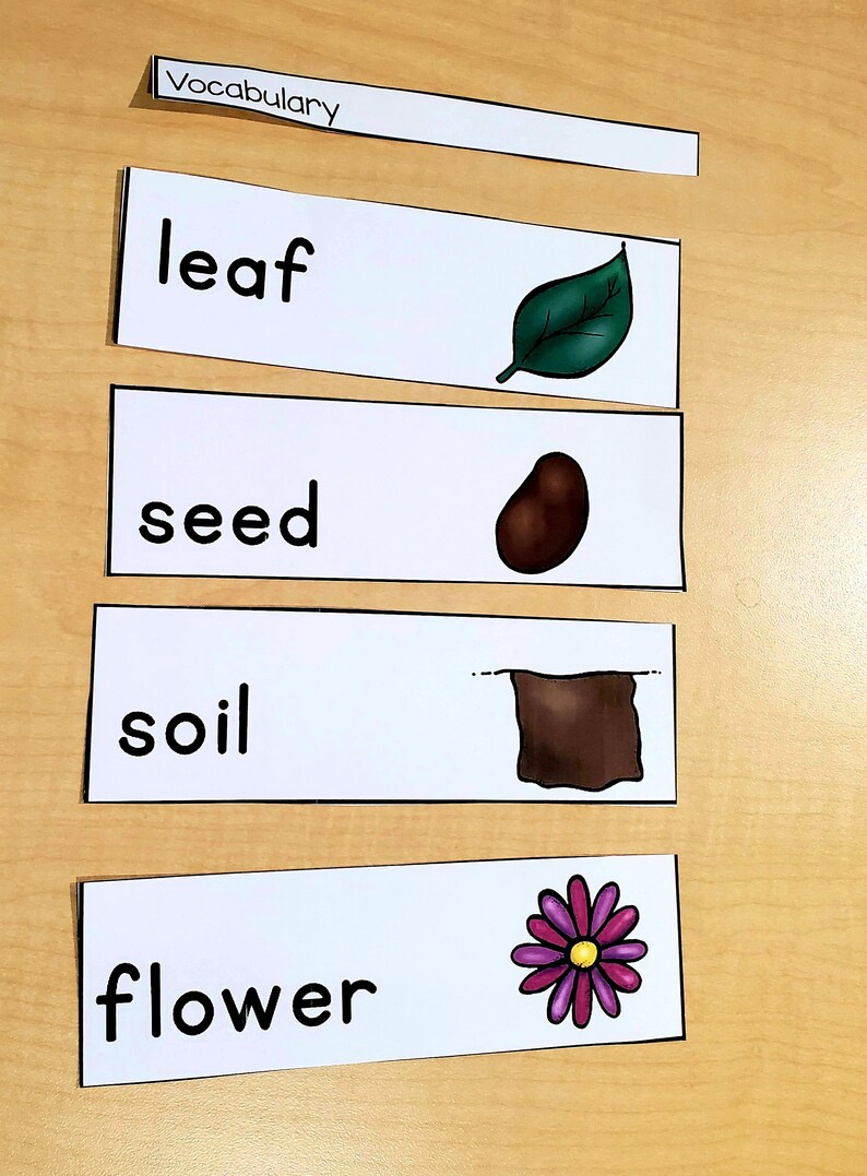 Plants Preschool Printablesnature Study, Botany Lesson, Preschool Kindergarten Curriculum