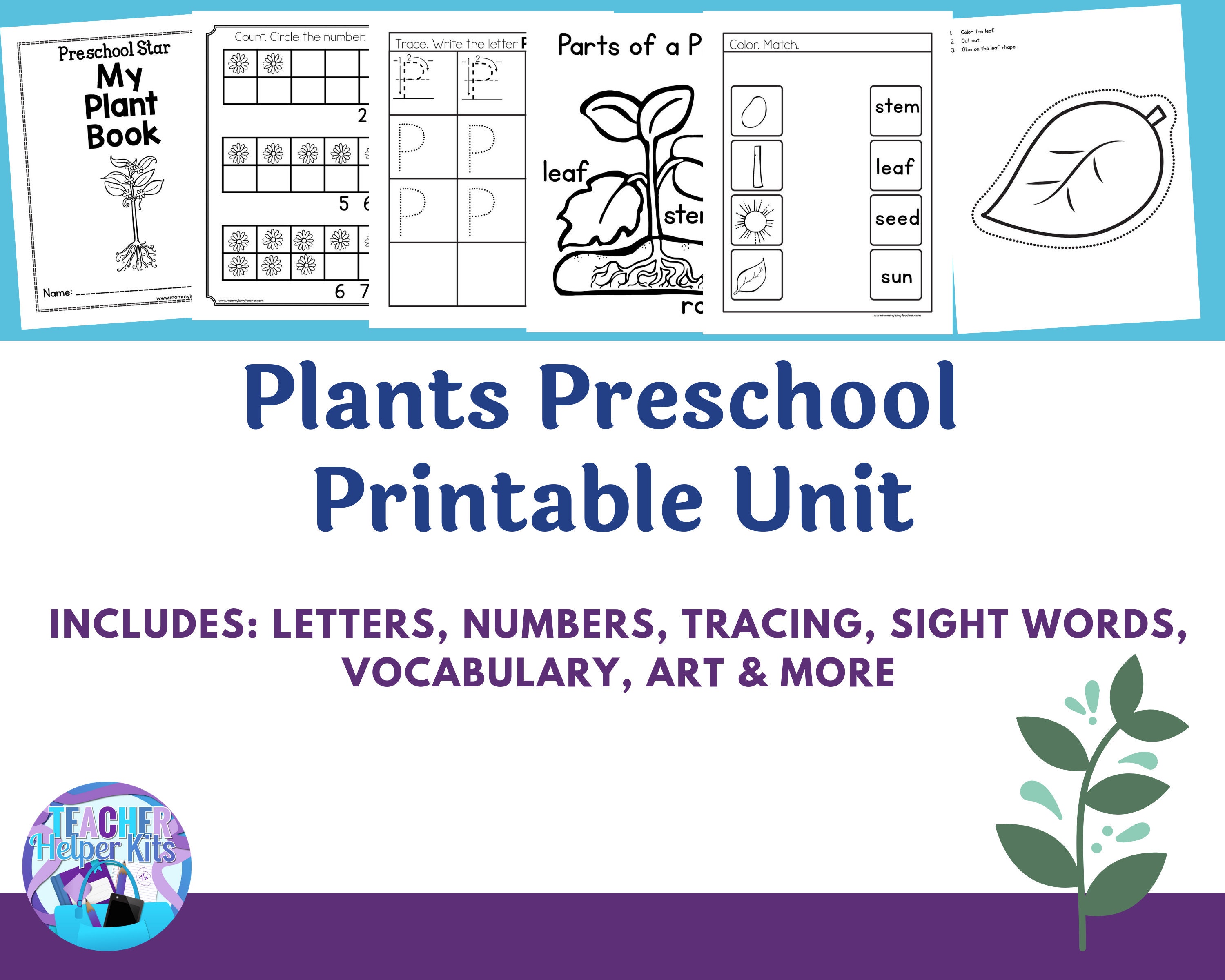 Plants Preschool Printablesnature Study, Botany Lesson, Preschool Kindergarten Curriculum