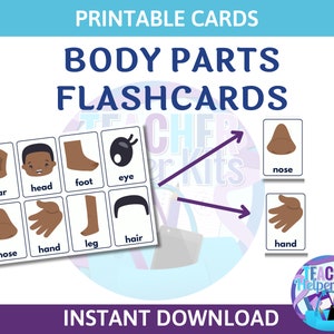 Body Parts Flash Card-Body Parts-My Body Parts Poster, All About Me, Educational Preschool Printable Activity, Body Parts Matching Game
