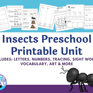 Insects Preschool Printables~Preschool Curriculum Learning Activities~Homeschool Preschool