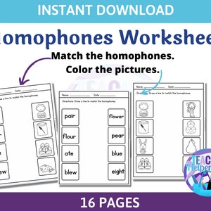16 Homophone Worksheets/ 1st Grade 2nd Grade ELA Worksheets/ Language Arts Worksheets/ Grammar