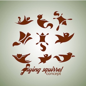 Instant download flying squirrel design concept set