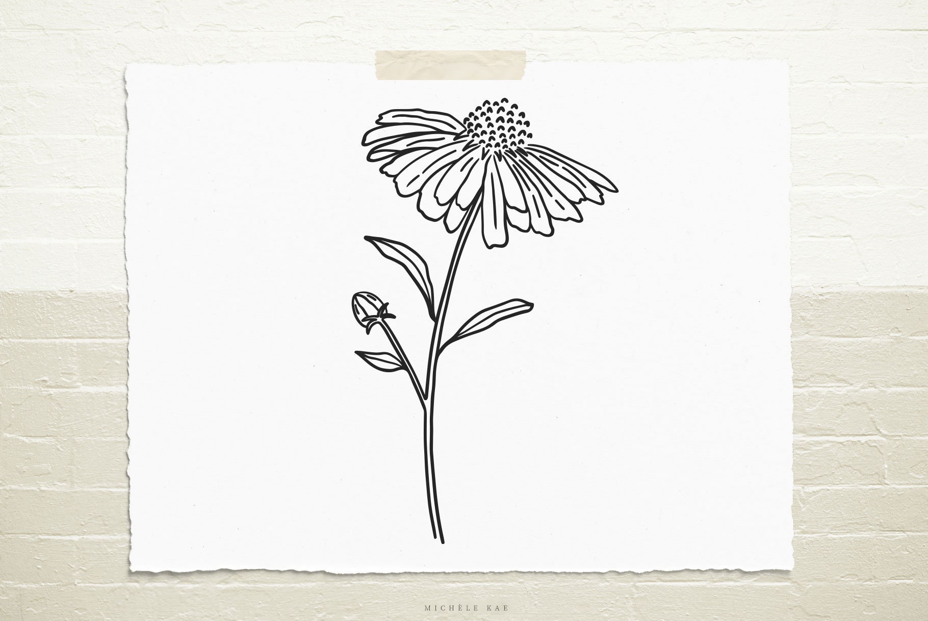 Free Free 186 Flower Overlay Svg SVG PNG EPS DXF File