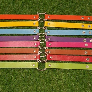 Op de afbeelding: Een set van tien kleurrijke leren armbanden met zilveren metalen kattenvormige sluitingen en zilveren metalen studs. De armbanden zijn gerangschikt in een regenboogpatroon, met de kleuren rood, oranje, geel, groen, blauw, paars, roze, bruin en zwart.