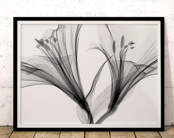 Botanical X-Ray Flower Print: Minimalist Hygge Wall Art (Digital Download)