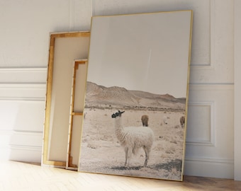 Stampa artistica fotografica di alpaca: decorazione da parete per la cameretta dei bambini in stile fattoria (download digitale)