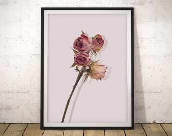 Rosa Rose Fotografie Druck: Millennial Pink Flower Art (Digitaler Download)