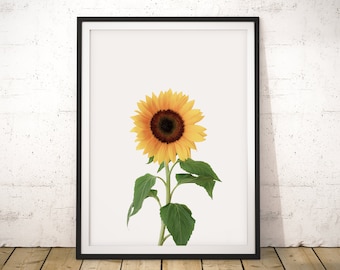 Sunflower, Sunflower Print, Flower Poster, Flower Print, Sunflower Wall Art, Sunflower Wall Art Print, Floral Printable Wall Art