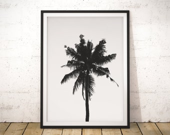 Palm Tree Print, Tropical Wall Art Print, Palm Tree Wall Art, Minimalist Photography, Black and White Palm Tree Print, Beach House Print