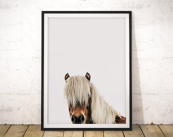 Icelandic Horse Photography Print: Farmhouse Equestrian Decor (Digital Download)