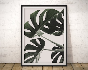 Impression de photographie de feuille de Monstera : art botanique tropical (téléchargement numérique)