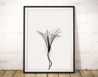 Minimalist Lily Flower Print: Black and White X-Ray Floral Art (Digital Download)