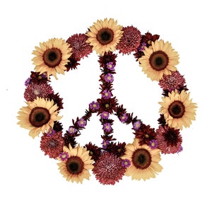 May include: A peace sign made of yellow sunflowers and burgundy flowers. The sunflowers are arranged in a circle around the peace sign, and the burgundy flowers are arranged in a circle around the sunflowers.