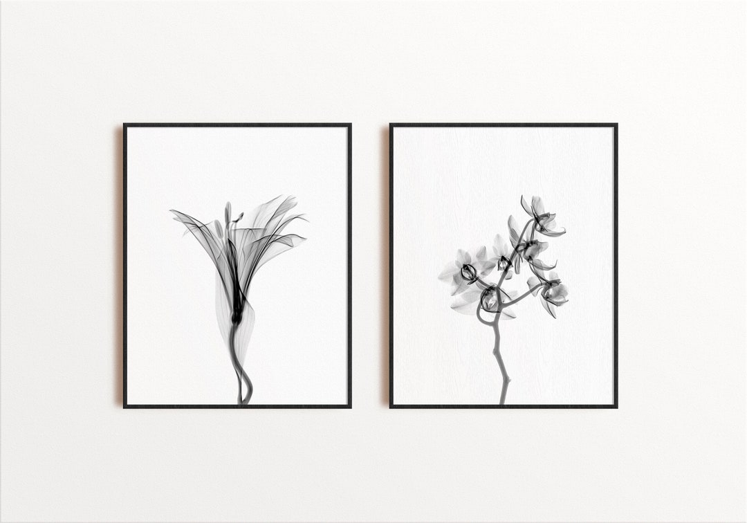 Set of 2 Prints Floral Prints Botanical Prints Black and - Etsy