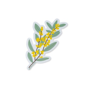 Pegatina Golden Wattle - Vinilo troquelado mate pegatina impermeable - Flores nativas florales australianas