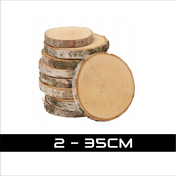 Birch Wood Slice With Bark • Natural Wooden Rustic Disc, Unfinished Hardwood Rounds, Decorative Wedding Table Coaster, Woodworking Craft Log