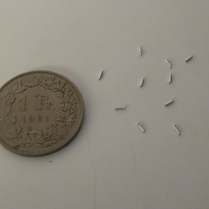May include: A Swiss 1 Franc coin from 1981 positioned next to a small collection of ten tiny, thin, silver-colored metal cylindrical pins. The coin features the text 1 Fr. and 1981, providing a clear scale reference for the small metal components.