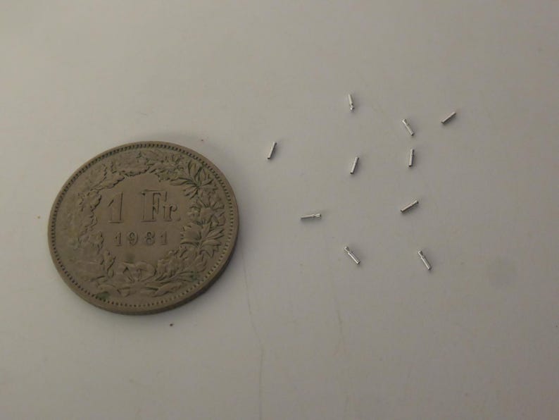 May include: A Swiss 1 Franc coin from 1981 positioned next to a small collection of ten tiny, thin, silver-colored metal cylindrical pins. The coin features the text 1 Fr. and 1981, providing a clear scale reference for the small metal components.