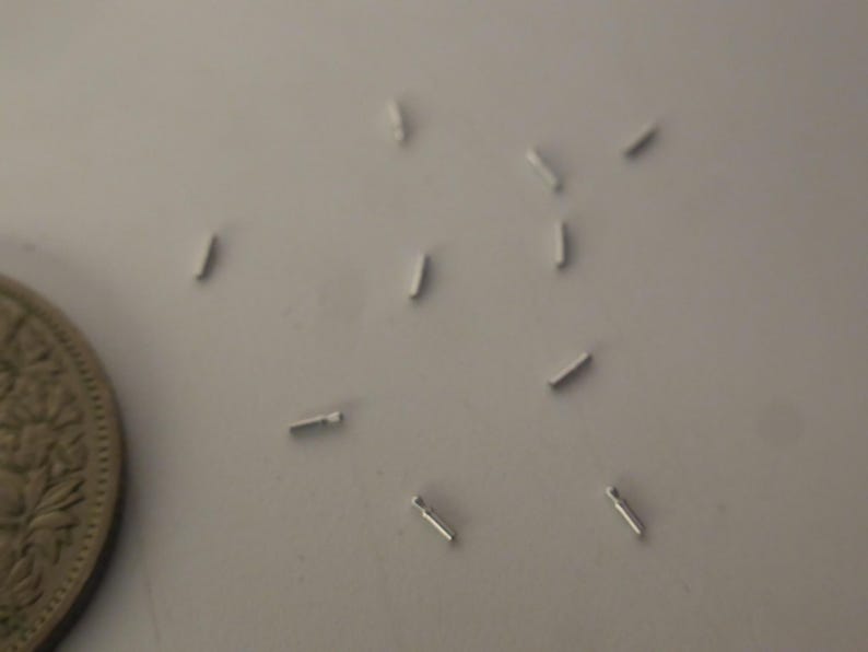 May include: A collection of small, thin, silver-colored metal pins or findings scattered across the frame, positioned next to a circular metallic coin that shows intricate embossed floral patterns on its surface for scale comparison.