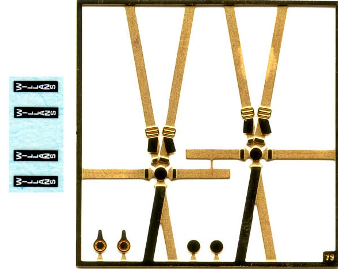 photo etched 1:43 6-points racing seatbelts 2 pieces (W illans markings) Tameo FT36
