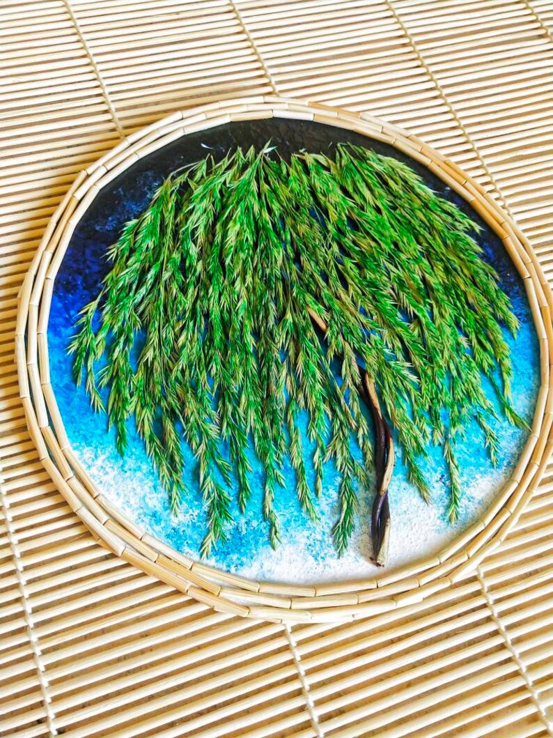 Weeping Willow Tree Wall Art/real Plants Wall Decor/round Wall Etsy