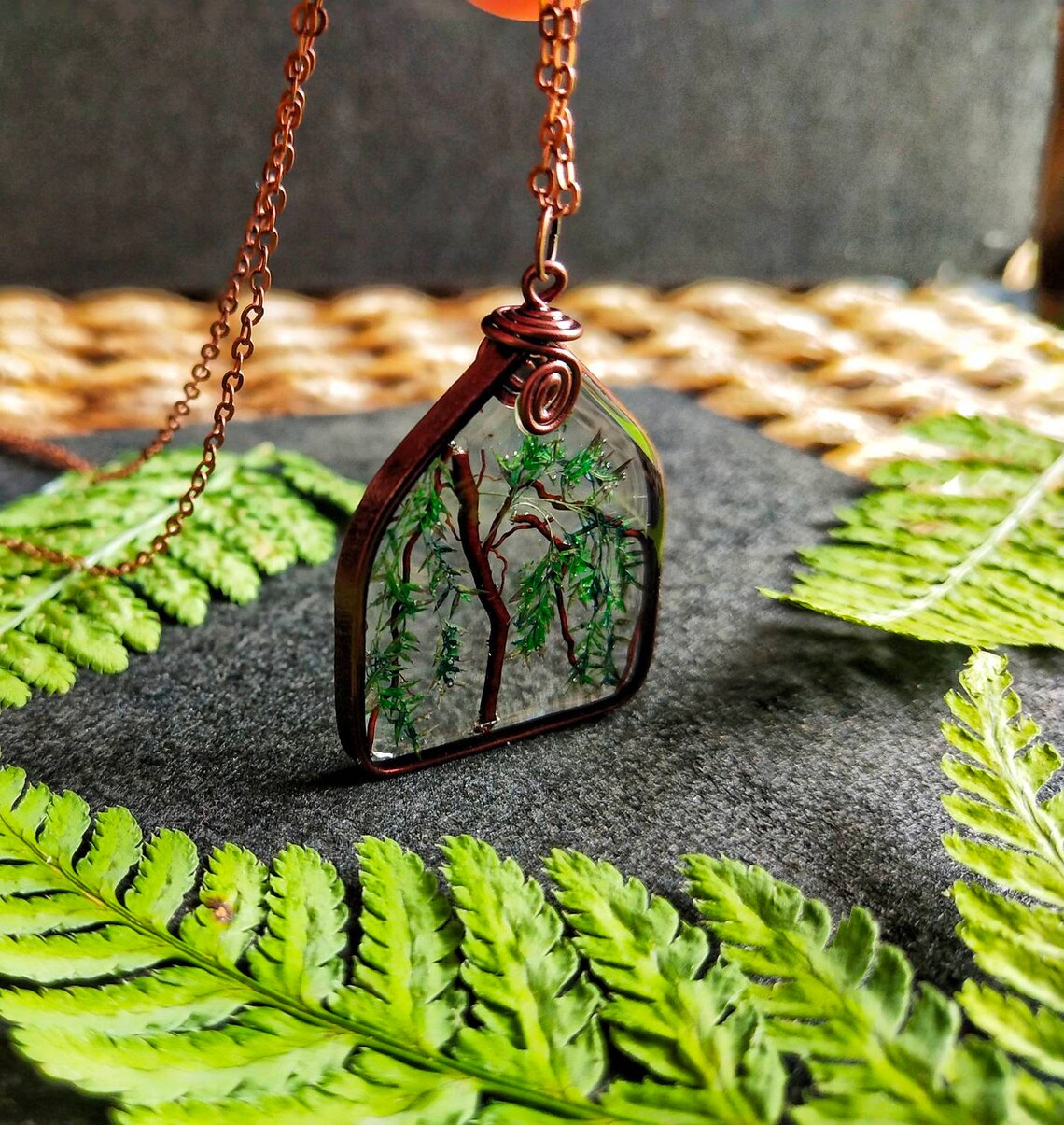 Weeping Willow Anniversary Gift Weeping Willow Tree Gift For Etsy